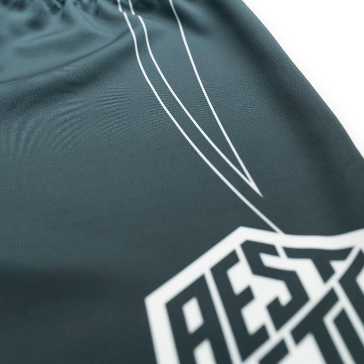 AESTHETIC Petrol Blue ADCC 2026 Jozef Chen Combat Shorts - close up
